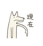 old cat xiang nian ＆ white dog xiao bai3（個別スタンプ：4）