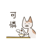 old cat xiang nian ＆ white dog xiao bai3（個別スタンプ：11）