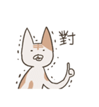 old cat xiang nian ＆ white dog xiao bai3（個別スタンプ：21）