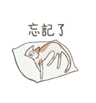 old cat xiang nian ＆ white dog xiao bai3（個別スタンプ：23）