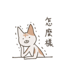 old cat xiang nian ＆ white dog xiao bai3（個別スタンプ：25）