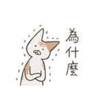 old cat xiang nian ＆ white dog xiao bai3（個別スタンプ：27）
