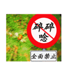 Road sign for Interpersonal dialogue（個別スタンプ：2）