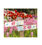 Road sign for Interpersonal dialogue（個別スタンプ：17）