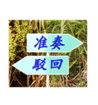 Road sign for Interpersonal dialogue（個別スタンプ：18）