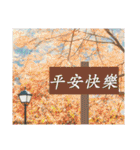 Road sign for Interpersonal dialogue（個別スタンプ：22）