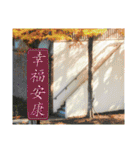 Road sign for Interpersonal dialogue（個別スタンプ：23）