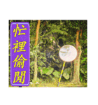 Road sign for Interpersonal dialogue（個別スタンプ：25）