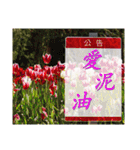 Road sign for Interpersonal dialogue（個別スタンプ：30）