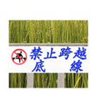 Road sign for Interpersonal dialogue（個別スタンプ：33）