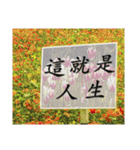 Road sign for Interpersonal dialogue（個別スタンプ：34）