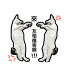 マジっすか！？（個別スタンプ：7）