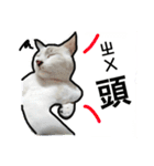 マジっすか！？（個別スタンプ：8）