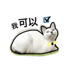 マジっすか！？（個別スタンプ：10）