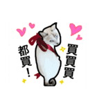 マジっすか！？（個別スタンプ：16）