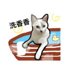 マジっすか！？（個別スタンプ：22）