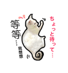 マジっすか！？（個別スタンプ：23）