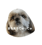 まろまろてゅーってゅ（個別スタンプ：3）