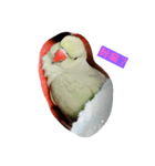 bear*lion*（個別スタンプ：4）