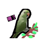 bear*lion*（個別スタンプ：6）