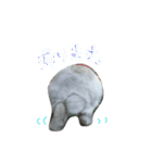 ライオンラビットのリオン（個別スタンプ：8）