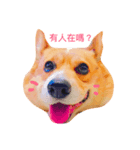 Happy AND Ball（個別スタンプ：5）