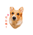 Happy AND Ball（個別スタンプ：6）