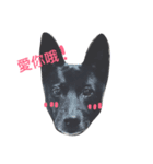 Money's O.S（個別スタンプ：1）