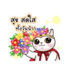 Nong Pong ＆ Kati fat cat (Thai v.)（個別スタンプ：3）