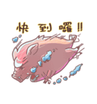 pig pig fish（個別スタンプ：23）