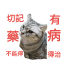 KAZOKU NECO（個別スタンプ：1）
