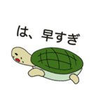 バリエーションタートル（個別スタンプ：8）