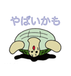 バリエーションタートル（個別スタンプ：10）