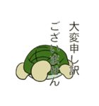 バリエーションタートル（個別スタンプ：13）