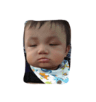 Cheng cheng expression（個別スタンプ：14）