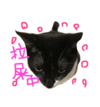 fafa ＆ tsaitsai（個別スタンプ：4）