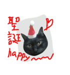 fafa ＆ tsaitsai（個別スタンプ：5）