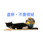 fafa ＆ tsaitsai（個別スタンプ：7）