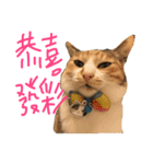 fafa ＆ tsaitsai（個別スタンプ：12）