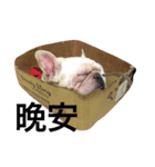 MIBO BABY（個別スタンプ：2）