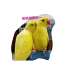 Love 22（個別スタンプ：1）