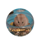 hamster momo（個別スタンプ：2）