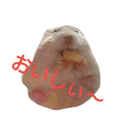 hamster momo（個別スタンプ：7）