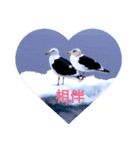 My Dear.......（個別スタンプ：2）