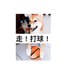 Orange s mood（個別スタンプ：1）