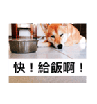 Orange s mood（個別スタンプ：2）