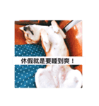 Orange s mood（個別スタンプ：4）