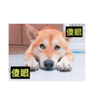 Orange s mood（個別スタンプ：6）