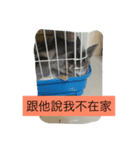 rabbit meng＆Pomeranian bunny（個別スタンプ：2）