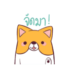 friendly chubby 3（個別スタンプ：31）